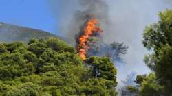 &Pi;ά&tau;&rho;&alpha;: &Sigma;&epsilon; &pi;&lambda;ή&rho;&eta; &epsilon;&xi;έ&lambda;&iota;&xi;&eta; &eta; &phi;&omega;&tau;&iota;ά &sigma;&tau;&eta;&nu; &Kappa;&alpha;&lambda;&lambda;&iota;&theta;έ&alpha; - &Sigma;&upsilon;&nu;&epsilon;&lambda;ή&phi;&theta;&eta; έ&nu;&alpha; ά&tau;&omicron;&mu;&omicron; &gamma;&iota;&alpha; &epsilon;&mu;&pi;&rho;&eta;&sigma;&mu;ό