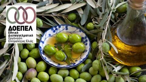 &Alpha;&nu;&alpha;&kappa;&omicron;ί&nu;&omega;&sigma;&eta; &Epsilon;&theta;&nu;&iota;&kappa;ή&sigmaf; &Delta;&Omicron;&Epsilon;&Pi;&Epsilon;&Lambda; &gamma;&iota;&alpha; &tau;&eta;&nu; &Epsilon;&lambda;&alpha;&iota;&omicron;&kappa;&omicron;&mu;&iota;&kappa;ή &Pi;&epsilon;&rho;ί&omicron;&delta;&omicron; 2024-2025