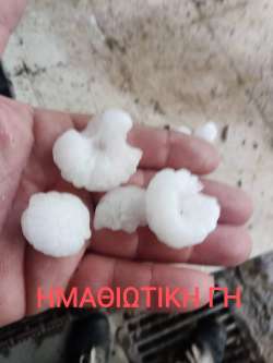 &Chi;&alpha;&lambda;ά&zeta;&iota; &Beta;&epsilon;&gamma;ό&rho;&alpha; &Alpha;&mu;ύ&nu;&tau;&alpha;&iota;&omicron;-&Omicron;&Lambda;&Iota;&Kappa;&Eta; &Kappa;&Alpha;&Tau;&Alpha;&Sigma;&Tau;&Rho;&Omicron;&Phi;&Eta;