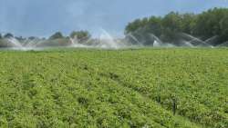 &Upsilon;&Pi;&Alpha;&Alpha;&Tau;: &Alpha;&rho;&delta;&epsilon;&upsilon;&tau;&iota;&kappa;ά έ&rho;&gamma;&alpha; 41,5 &epsilon;&kappa;&alpha;&tau;&omicron;&mu;&mu;&upsilon;&rho;ί&omega;&nu; &epsilon;&upsilon;&rho;ώ &sigma;&tau;&eta; &Phi;&lambda;ώ&rho;&iota;&nu;&alpha;