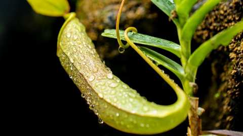 &Sigma;&tau;&eta; &Lambda;ά&rho;&iota;&sigma;&alpha; &xi;&epsilon;&kappa;&iota;&nu;ά &tau;&eta;&nu; &Tau;&rho;ί&tau;&eta; &eta; 3ή&mu;&epsilon;&rho;&eta; &Pi;&alpha;&nu;&epsilon;&lambda;&lambda;&alpha;&delta;&iota;&kappa;ή &Sigma;&upsilon;&nu;ά&nu;&tau;&eta;&sigma;&eta; &Phi;&upsilon;&tau;&omicron;&pi;&rho;&omicron;&sigma;&tau;&alpha;&sigma;ί&alpha;&sigmaf;