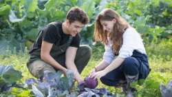 &Pi;&rho;&omicron;&kappa;ή&rho;&upsilon;&xi;&eta; &upsilon;&pi;&omicron;&tau;&rho;&omicron;&phi;&iota;ώ&nu; &gamma;&iota;&alpha; &tau;&omicron; &Epsilon;&Pi;&Alpha;.&Lambda;. &kappa;&alpha;&iota; &tau;&eta;&nu; &Iota;.&Sigma;.&Alpha;.&Epsilon;.&Kappa;. &tau;&eta;&sigmaf; &Alpha;&Gamma;&Sigma; &alpha;&pi;ό &tau;&eta; &Mu;&Pi;&Alpha;&Rho;&Mu;&Pi;&Alpha; &Sigma;&Tau;&Alpha;&Theta;&Eta;&Sigma; &Alpha;&Epsilon;