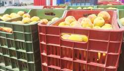 &Tau;&Zeta;&Alpha;&Kappa;&Rho;&Eta; &pi;&rho;&omicron;&sigmaf; &Epsilon;&Kappa;&Epsilon;: &laquo;&Alpha;&nu;&alpha;&kappa;&omicron;&iota;&nu;ώ&sigma;&tau;&epsilon; &tau;&omicron;&upsilon;&lambda;ά&chi;&iota;&sigma;&tau;&omicron;&nu; 40 &lambda;&epsilon;&pi;&tau;ά &tau;&omicron; &kappa;&iota;&lambda;ό &gamma;&iota;&alpha; &tau;&alpha;  &sigma;&upsilon;&mu;&pi;ύ&rho;&eta;&nu;&alpha; &rho;&omicron;&delta;ά&kappa;&iota;&nu;&alpha;&raquo;