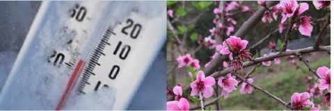 -3,5 &beta;&alpha;&theta;&mu;&omicron;ύ&sigmaf; &kappa;&epsilon;&lambda;&sigma;ί&omicron;&upsilon; έ&delta;&epsilon;&iota;&xi;&epsilon; &tau;&omicron; &theta;&epsilon;&rho;&mu;ό&mu;&epsilon;&tau;&rho;&omicron; &sigma;&epsilon; &pi;&epsilon;&rho;&iota;&omicron;&chi;έ&sigmaf; &tau;&iota;&sigmaf; &Iota;&sigma;&pi;&alpha;&nu;ί&alpha;&sigmaf; - &Alpha;&gamma;&omega;&nu;ί&alpha; &gamma;&iota;&alpha; &pi;&iota;&theta;&alpha;&nu;έ&sigmaf; &zeta;&eta;&mu;&iota;έ&sigmaf; &sigma;&tau;&omicron;&upsilon;&sigmaf; &rho;&omicron;&delta;&alpha;&kappa;&iota;&nu;&omicron;&pi;&alpha;&rho;&alpha;&gamma;&omega;&gamma;&omicron;ύ&sigmaf;