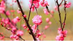 &Pi;&omicron;&rho;ί&sigma;&mu;&alpha;&tau;&alpha; &zeta;&eta;&mu;&iota;ώ&nu; &sigma;&epsilon; &kappa;&alpha;&lambda;&lambda;&iota;έ&rho;&gamma;&epsilon;&iota;&epsilon;&sigmaf; &alpha;&pi;ό &pi;&alpha;&gamma;&epsilon;&tau;ό 30/03/2023 &sigma;&tau;&eta;&nu; &Delta;/&Tau;.&Kappa;. &Beta;έ&rho;&omicron;&iota;&alpha;&sigmaf;