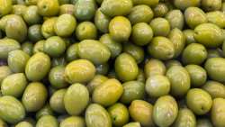 &Pi;&rho;ά&sigma;&iota;&nu;&epsilon;&sigmaf; &epsilon;&lambda;&iota;έ&sigmaf; &kappa;&alpha;&iota; &tau;&iota;&mu;έ&sigmaf; &epsilon;&kappa;&kappa;ί&nu;&eta;&sigma;&eta;&sigmaf;: &Eta; &Pi;&Epsilon;&Alpha;&Sigma;&Omicron;&Epsilon;&Pi;&Epsilon; &sigma;&tau;&eta;&rho;ί&zeta;&epsilon;&iota; &tau;&eta;&nu; &pi;&rho;ό&tau;&alpha;&sigma;&eta; &tau;&omega;&nu; &Alpha;&gamma;&rho;&omicron;&tau;&iota;&kappa;ώ&nu; &Sigma;&upsilon;&nu;&epsilon;&tau;&alpha;&iota;&rho;&iota;&sigma;&mu;ώ&nu; &kappa;&alpha;&iota; &tau;&omega;&nu; &pi;&alpha;&rho;&alpha;&gamma;&omega;&gamma;ώ&nu;