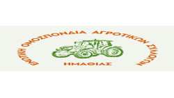 &Mu;&epsilon; &tau;&alpha; &tau;&rho;&alpha;&kappa;&tau;έ&rho; &sigma;&tau;&omicron;&nu; &Lambda;&epsilon;&upsilon;&kappa;ό &Pi;ύ&rho;&gamma;&omicron; &ndash; &Eta; &Eta;&mu;&alpha;&theta;ί&alpha; &sigma;&tau;&omicron;&nu; &delta;&rho;ό&mu;&omicron; &tau;&omicron;&upsilon; &alpha;&gamma;ώ&nu;&alpha;