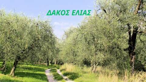 &Delta;ά&kappa;&omicron;&sigmaf;: &Pi;&omicron;&iota;&epsilon;&sigmaf; &omicron;&iota; &epsilon;&pi;&iota;&pi;&tau;ώ&sigma;&epsilon;&iota;&sigmaf; &tau;&eta;&sigmaf; &pi;&rho;&omicron;&sigma;&beta;&omicron;&lambda;ή&sigmaf; &sigma;&tau;&iota;&sigmaf; &Phi;&alpha;&iota;&nu;&omicron;&lambda;&iota;&kappa;έ&sigmaf; &epsilon;&nu;ώ&sigma;&epsilon;&iota;&sigmaf; &tau;&omicron;&upsilon; &kappa;&alpha;&rho;&pi;&omicron;ύ
