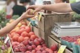 &Rho;&upsilon;&theta;&mu;ί&sigma;&epsilon;&iota;&sigmaf; &lambda;&epsilon;&iota;&tau;&omicron;&upsilon;&rho;&gamma;ί&alpha;&sigmaf; &tau;&omega;&nu; &Lambda;&alpha;ϊ&kappa;ώ&nu; &Alpha;&gamma;&omicron;&rho;ώ&nu; &tau;&omicron;&upsilon; &Delta;ή&mu;&omicron;&upsilon; &Beta;έ&rho;&omicron;&iota;&alpha;&sigmaf;