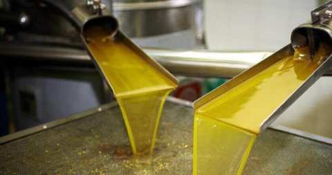 &Epsilon;&Phi;&Epsilon;&Tau;: &Epsilon;&nu;&tau;&alpha;&tau;&iota;&kappa;&omicron;ί έ&lambda;&epsilon;&gamma;&chi;&omicron;&iota; &gamma;&iota;&alpha; &tau;&eta;&nu; &pi;&rho;&omicron;&sigma;&tau;&alpha;&sigma;ί&alpha; &tau;&omicron;&upsilon; &epsilon;&lambda;&alpha;&iota;ό&lambda;&alpha;&delta;&omicron;&upsilon;