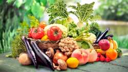 &Omicron;&pi;&omega;&rho;&omicron;&kappa;&eta;&pi;&epsilon;&upsilon;&tau;&iota;&kappa;ά: &Sigma;&upsilon;&mu;&pi;&lambda;&eta;&rho;&omega;&mu;&alpha;&tau;&iota;&kappa;ά &mu;έ&tau;&rho;&alpha; &gamma;&iota;&alpha; &tau;&eta;&nu; &epsilon;&phi;&alpha;&rho;&mu;&omicron;&gamma;ή &tau;&omega;&nu; &epsilon;&pi;&iota;&chi;&epsilon;&iota;&rho;&eta;&sigma;&iota;&alpha;&kappa;ώ&nu; &pi;&rho;&omicron;&gamma;&rho;&alpha;&mu;&mu;ά&tau;&omega;&nu;