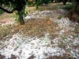 &Tau;&iota;&sigmaf; &pi;&epsilon;&rho;&iota;&omicron;&chi;έ&sigmaf; &tau;&omega;&nu; &Delta;ή&mu;&omega;&nu; &Alpha;&gamma;&iota;ά&sigmaf;, &Kappa;&iota;&lambda;&epsilon;&lambda;έ&rho; &kappa;&alpha;&iota; &Tau;&epsilon;&mu;&pi;ώ&nu; &pi;&omicron;&upsilon; &epsilon;&pi;&lambda;ή&gamma;&eta;&sigma;&alpha;&nu; &alpha;&pi;ό &chi;&alpha;&lambda;ά&zeta;&iota; &epsilon;&pi;&iota;&sigma;&kappa;έ&phi;&tau;&eta;&kappa;&epsilon; &Kappa;&lambda;&iota;&mu;ά&kappa;&iota;&omicron; &tau;&eta;&sigmaf; &Pi;&epsilon;&rho;&iota;&phi;έ&rho;&epsilon;&iota;&alpha;&sigmaf; &Theta;&epsilon;&sigma;&sigma;&alpha;&lambda;ί&alpha;&sigmaf;