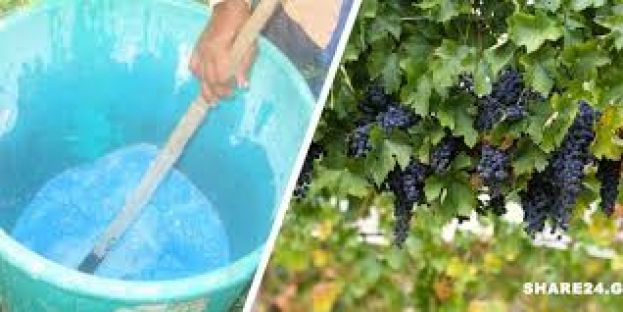 &Beta;&omicron;&rho;&delta;&iota;&gamma;ά&lambda;&epsilon;&iota;&omicron;&sigmaf; &Pi;&omicron;&lambda;&tau;ό&sigmaf; &ndash; &Pi;ώ&sigmaf; &nu;&alpha; &tau;&omicron; &Phi;&tau;&iota;ά&xi;&epsilon;&tau;&epsilon;