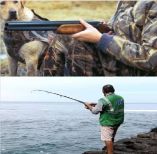 &Epsilon;&pi;&iota;&tau;&rho;έ&pi;&epsilon;&tau;&alpha;&iota; &upsilon;&pi;ό ό&rho;&omicron;&upsilon;&sigmaf; &eta; &mu;&epsilon;&tau;&alpha;&kappa;ί&nu;&eta;&sigma;&eta; &gamma;&iota;&alpha; &kappa;&upsilon;&nu;ή&gamma;&iota; &kappa;&alpha;&iota; &psi;ά&rho;&epsilon;&mu;&alpha;