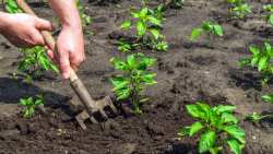 &Pi;&Epsilon;&Gamma;&Delta;&Upsilon;: &Kappa;&alpha;&tau;&alpha;&nu;&omicron;&mu;ή &alpha;&xi;&iota;&omega;&mu;ά&tau;&omega;&nu; &Delta;&iota;&omicron;&iota;&kappa;&eta;&tau;&iota;&kappa;&omicron;ύ &Sigma;&upsilon;&mu;&beta;&omicron;&upsilon;&lambda;ί&omicron;&upsilon;