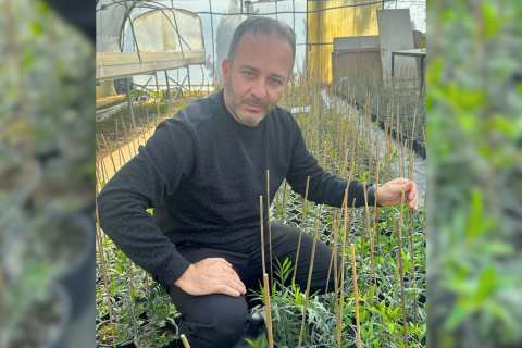 &Delta;&epsilon;&sigmaf; &Nu;έ&epsilon;&sigmaf; &Iota;&tau;&alpha;&lambda;&iota;&kappa;έ&sigmaf; &Pi;&omicron;&iota;&kappa;&iota;&lambda;ί&epsilon;&sigmaf; &Epsilon;&lambda;&iota;ά&sigmaf;! (&Beta;ί&nu;&tau;&epsilon;&omicron; 2026)