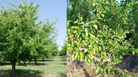 &Epsilon;&pi;&iota;&sigma;&tau;&omicron;&lambda;ή &kappa;&alpha;&lambda;&lambda;&iota;&epsilon;&rho;&gamma;&eta;&tau;ώ&nu; &beta;&epsilon;&rho;ί&kappa;&omicron;&kappa;&omega;&nu; &kappa;&alpha;&iota; &delta;&alpha;&mu;ά&sigma;&kappa;&eta;&nu;&omega;&nu; &sigma;&epsilon; &Upsilon;&Pi;&Alpha;&Alpha;&Tau; &kappa;&alpha;&iota; &Epsilon;&Lambda;&Gamma;&Alpha;