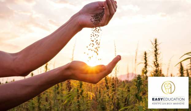 &Chi;&rho;&eta;&sigma;&iota;&mu;&omicron;&pi;&omicron;&iota;&epsilon;ί&sigmaf; &Gamma;&Epsilon;&Omega;&Rho;&Gamma;&Iota;&Kappa;&Alpha; &Phi;&Alpha;&Rho;&Mu;&Alpha;&Kappa;&Alpha;;  &Tau;ό&tau;&epsilon; &chi;&rho;&epsilon;&iota;ά&zeta;&epsilon;&sigma;&alpha;&iota; &pi;&iota;&sigma;&tau;&omicron;&pi;&omicron;&iota;&eta;&tau;&iota;&kappa;ό &omicron;&rho;&theta;&omicron;&lambda;&omicron;&gamma;&iota;&kappa;ή&sigmaf; &chi;&rho;ή&sigma;&eta;&sigmaf; &gamma;&epsilon;&omega;&rho;&gamma;&iota;&kappa;ώ&nu; &phi;&alpha;&rho;&mu;ά&kappa;&omega;&nu;