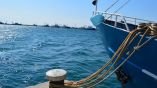 &Pi;&alpha;&rho;ά&tau;&alpha;&sigma;&eta; &upsilon;&pi;&omicron;&beta;&omicron;&lambda;ή&sigmaf; &pi;&rho;&omicron;&tau;ά&sigma;&epsilon;&omega;&nu; &sigma;&tau;&omicron; &Epsilon;&pi;&iota;&chi;&epsilon;&iota;&rho;&eta;&sigma;&iota;&alpha;&kappa;ό &Pi;&rho;ό&gamma;&rho;&alpha;&mu;&mu;&alpha; &Alpha;&lambda;&iota;&epsilon;ί&alpha; &amp; &Theta;ά&lambda;&alpha;&sigma;&sigma;&alpha; 2014-2020