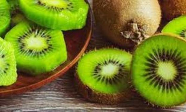 &Tau;&omicron; &Tau;.&Phi;.&Omicron;.&Delta;.&Nu;. &sigma;&upsilon;&mu;&mu;&epsilon;&tau;&epsilon;ί&chi;&epsilon; &sigma;&tau;&eta; 15&eta; &gamma;&iota;&omicron;&rho;&tau;ή &alpha;&kappa;&tau;&iota;&nu;&iota;&delta;ί&omicron;&upsilon; &Pi;&upsilon;&rho;&gamma;&epsilon;&tau;&omicron;ύ-&Alpha;&iota;&gamma;ά&nu;&eta;&sigmaf;