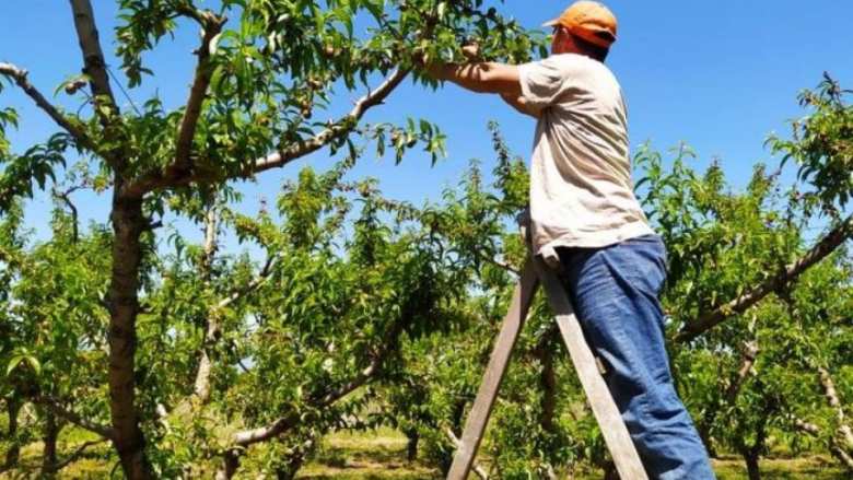 &Mu;&epsilon;&iota;ώ&theta;&eta;&kappa;&alpha;&nu; &kappa;&alpha;&tau;ά 75.000 &omicron;&iota; &epsilon;&rho;&gamma;&alpha;&zeta;ό&mu;&epsilon;&nu;&omicron;&iota; &sigma;&tau;&alpha; &alpha;&gamma;&rho;&omicron;&tau;&iota;&kappa;ά &epsilon;&pi;&alpha;&gamma;&gamma;έ&lambda;&mu;&alpha;&tau;&alpha;