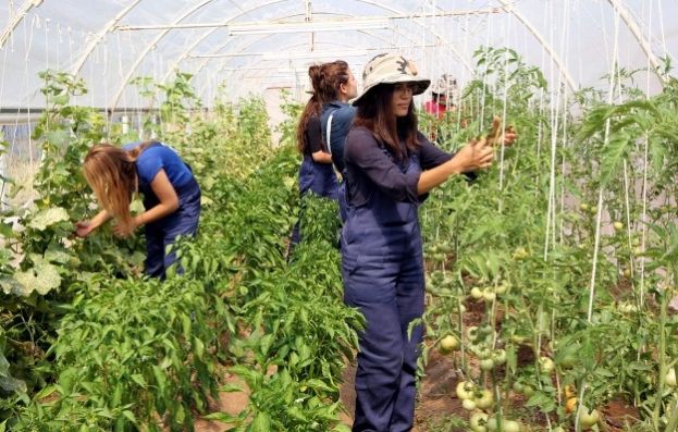 &Omicron;&iota; &pi;&rho;&omicron;&tau;ά&sigma;&epsilon;&iota;&sigmaf; &tau;&eta;&sigmaf; &Pi;.&Epsilon;.&Nu;.&Alpha; &gamma;ί&nu;&omicron;&nu;&tau;&alpha;&iota; &pi;&rho;ά&xi;&eta; &alpha;&pi;ό &tau;&omicron; &Upsilon;&Pi;&Alpha;&Alpha;&Tau;