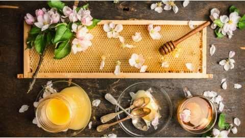 &Tau;&omicron; &gamma;&iota;&alpha;&tau;&rho;&omicron;&sigma;ό&phi;&iota; &pi;&omicron;&upsilon; &alpha;&nu;&alpha;&kappa;&omicron;&upsilon;&phi;ί&zeta;&epsilon;&iota; &beta;ή&chi;&alpha; &kappa;&alpha;&iota; &pi;&omicron;&nu;ό&lambda;&alpha;&iota;&mu;&omicron;