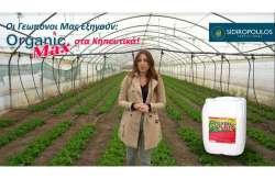 &Omicron;&phi;έ&lambda;&eta; &kappa;&alpha;&iota; &pi;&lambda;&epsilon;&omicron;&nu;&epsilon;&kappa;&tau;ή&mu;&alpha;&tau;ά &tau;&omicron;&upsilon; Organic Max &sigma;&tau;&alpha; &Kappa;&eta;&pi;&epsilon;&upsilon;&tau;&iota;&kappa;ά (&Beta;ί&nu;&tau;&epsilon;&omicron;)