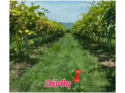 Ό&chi;&iota; &delta;&epsilon;&nu; &epsilon;ί&nu;&alpha;&iota; &theta;&alpha;ύ&mu;&alpha;, &epsilon;ί&nu;&alpha;&iota; &tau;&omicron; Organic Max &sigma;&tau;&alpha; &Alpha;&kappa;&tau;&iota;&nu;ί&delta;&iota;&alpha;! (&Pi;&rho;&iota;&nu; &kappa;&alpha;&iota; &mu;&epsilon;&tau;ά)