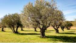 &Omicron;&lambda;&omicron;&kappa;&lambda;ή&rho;&omega;&sigma;&eta; &tau;&omega;&nu; &delta;&omicron;&lambda;&omega;&mu;&alpha;&tau;&iota;&kappa;ώ&nu; &psi;&epsilon;&kappa;&alpha;&sigma;&mu;ώ&nu; &tau;&omicron;&upsilon; &pi;&rho;&omicron;&gamma;&rho;ά&mu;&mu;&alpha;&tau;&omicron;&sigmaf; &delta;&alpha;&kappa;&omicron;&kappa;&tau;&omicron;&nu;ί&alpha;&sigmaf; &sigma;&tau;&iota;&sigmaf; &Tau;&omicron;&pi;&iota;&kappa;έ&sigmaf; &Kappa;&omicron;&iota;&nu;ό&tau;&eta;&tau;&epsilon;&sigmaf; &Pi;.&Epsilon;. &Eta;&rho;&alpha;&kappa;&lambda;&epsilon;ί&omicron;&upsilon; &gamma;&iota;&alpha; &tau;&eta; &phi;&epsilon;&tau;&iota;&nu;ή &pi;&epsilon;&rho;ί&omicron;&delta;&omicron;