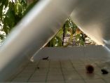 &Alpha;&pi;ό &sigma;ή&mu;&epsilon;&rho;&alpha; &kappa;&alpha;&iota; έ&omega;&sigmaf; 10 &Alpha;&upsilon;&gamma;&omicron;ύ&sigma;&tau;&omicron;&upsilon; &omicron;&iota; &upsilon;&pi;&omicron;&beta;&omicron;&lambda;ή &alpha;&iota;&tau;ή&sigma;&epsilon;&omega;&nu; &gamma;&iota;&alpha; &tau;&omicron; "&Kappa;&omicron;&mu;&phi;&omicron;ύ&zeta;&iota;&omicron;"