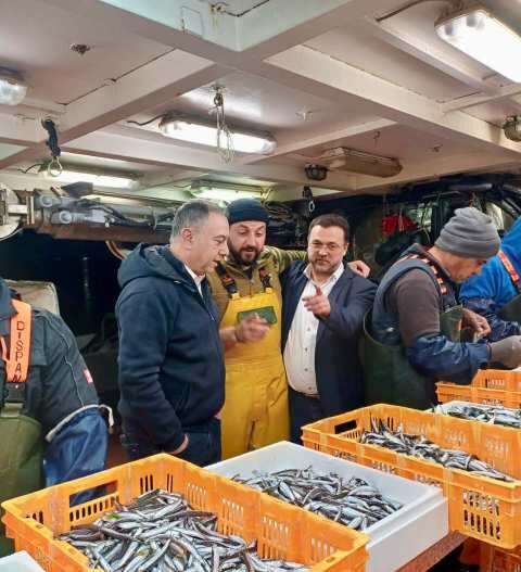 &Chi;&rho;ή&sigma;&tau;&omicron;&sigmaf; &Kappa;έ&lambda;&lambda;&alpha;&sigmaf;: &Epsilon;ί&mu;&alpha;&sigma;&tau;&epsilon; &delta;ί&pi;&lambda;&alpha; &sigma;&tau;&omicron;&upsilon;&sigmaf; &alpha;&lambda;&iota;&epsilon;ί&sigmaf; - &Alpha;&nu;&alpha;&zeta;&eta;&tau;&omicron;ύ&mu;&epsilon; &mu;&iota;&alpha; &kappa;&omicron;&iota;&nu;ά &alpha;&pi;&omicron;&delta;&epsilon;&kappa;&tau;ή &lambda;ύ&sigma;&eta; - &Epsilon;&pi;ί&sigma;&kappa;&epsilon;&psi;&eta; &sigma;&tau;&eta;&nu; &iota;&chi;&theta;&upsilon;ό&sigma;&kappa;&alpha;&lambda;&alpha; &tau;&eta;&sigmaf; &Nu;έ&alpha;&sigmaf; &Mu;&eta;&chi;&alpha;&nu;&iota;ώ&nu;&alpha;&sigmaf;
