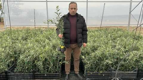 &Nu;έ&alpha; &pi;&omicron;&iota;&kappa;&iota;&lambda;ί&alpha; &epsilon;&lambda;&iota;ά&sigmaf; &pi;&omicron;&lambda;ύ &pi;&alpha;&rho;&alpha;&gamma;&omega;&gamma;&iota;&kappa;ή &kappa;&alpha;&iota; &alpha;&nu;&theta;&epsilon;&kappa;&tau;&iota;&kappa;ή &sigma;&tau;&omicron;&upsilon;&sigmaf; &pi;&alpha;&gamma;&epsilon;&tau;&omicron;ύ&sigmaf; (&Beta;ί&nu;&tau;&epsilon;&omicron;)