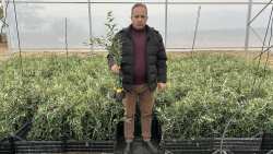&Nu;έ&alpha; &pi;&omicron;&iota;&kappa;&iota;&lambda;ί&alpha; &epsilon;&lambda;&iota;ά&sigmaf; &pi;&omicron;&lambda;ύ &pi;&alpha;&rho;&alpha;&gamma;&omega;&gamma;&iota;&kappa;ή &kappa;&alpha;&iota; &alpha;&nu;&theta;&epsilon;&kappa;&tau;&iota;&kappa;ή &sigma;&tau;&omicron;&upsilon;&sigmaf; &pi;&alpha;&gamma;&epsilon;&tau;&omicron;ύ&sigmaf; (&Beta;ί&nu;&tau;&epsilon;&omicron;)