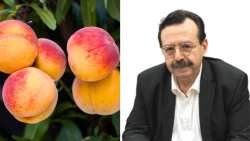 &Chi;&rho;. &Gamma;&iota;&alpha;&nu;&nu;&alpha;&kappa;ά&kappa;&eta;&sigmaf;: &laquo;&Alpha;&nu;&omicron;ί&xi;&alpha;&mu;&epsilon; &tau;&omicron;&nu; &delta;&rho;ό&mu;&omicron; &kappa;&alpha;&iota; &gamma;&iota;&alpha; ά&lambda;&lambda;&epsilon;&sigmaf; &epsilon;&pi;&iota;&chi;&epsilon;&iota;&rho;&eta;&mu;&alpha;&tau;&iota;&kappa;έ&sigmaf; &pi;&rho;&omicron;&sigma;&pi;ά&theta;&epsilon;&iota;&epsilon;&sigmaf; &alpha;&gamma;&rho;&omicron;&tau;ώ&nu; &tau;&eta;&sigmaf; &Kappa;&epsilon;&nu;&tau;&rho;&iota;&kappa;ή&sigmaf; &Mu;&alpha;&kappa;&epsilon;&delta;&omicron;&nu;ί&alpha;&sigmaf;&raquo;