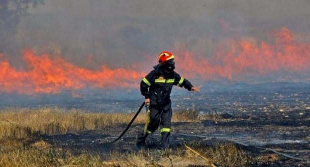 &Tau;&rho;&alpha;&gamma;&omega;&delta;ί&alpha; &sigma;&tau;&eta; &Mu;&epsilon;&lambda;ί&kappa;&eta; &Eta;&mu;&alpha;&theta;ί&alpha;&sigmaf; - &Kappa;ά&eta;&kappa;&epsilon; &zeta;&omega;&nu;&tau;&alpha;&nu;ό&sigmaf; &mu;έ&sigma;&alpha; &sigma;&tau;&omicron; &chi;&omega;&rho;ά&phi;&iota; &tau;&omicron;&upsilon;