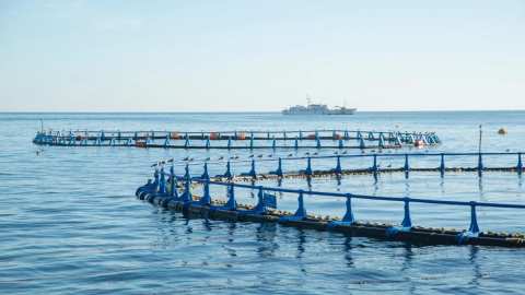 &Eta; &upsilon;&delta;&alpha;&tau;&omicron;&kappa;&alpha;&lambda;&lambda;&iota;έ&rho;&gamma;&epsilon;&iota;&alpha; &alpha;&upsilon;&xi;ή&theta;&eta;&kappa;&epsilon; &tau;&omicron; 2025 &ndash; &Sigma;&tau;&omicron;&upsilon;&sigmaf; 15.000 &tau;ό&nu;&omicron;&upsilon;&sigmaf; &eta; &pi;&alpha;&rho;&alpha;&gamma;&omega;&gamma;ή &sigma;&tau;&eta; &Theta;&epsilon;&sigma;&pi;&rho;&omega;&tau;ί&alpha;