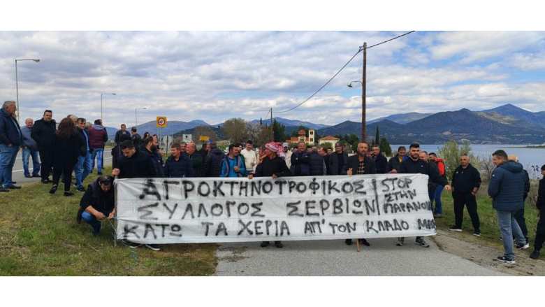&Kappa;&omicron;&zeta;ά&nu;&eta;: &Pi;&alpha;&rho;ά&sigma;&tau;&alpha;&sigma;&eta; &delta;&iota;&alpha;&mu;&alpha;&rho;&tau;&upsilon;&rho;ί&alpha;&sigmaf; &kappa;&tau;&eta;&nu;&omicron;&tau;&rho;ό&phi;&omega;&nu; &sigma;&tau;&eta; &gamma;έ&phi;&upsilon;&rho;&alpha; &Sigma;&epsilon;&rho;&beta;ί&omega;&nu;