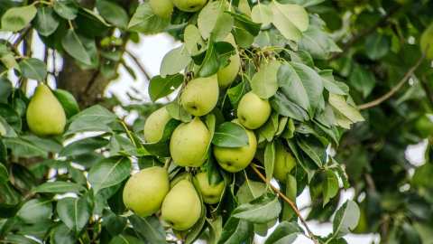&Gamma;&epsilon;&omega;&rho;&gamma;&iota;&kappa;έ&sigmaf; &pi;&rho;&omicron;&epsilon;&iota;&delta;&omicron;&pi;&omicron;&iota;ή&sigma;&epsilon;&iota;&sigmaf; &gamma;&iota;&alpha; &tau;&eta;&nu; &Alpha;&chi;&lambda;&alpha;&delta;&iota;ά | &Alpha;&gamma;&rho;&omicron;&tau;&iota;&kappa;ά &nu;έ&alpha; IMATHIOTIKIGI.GR