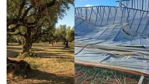 &Kappa;&alpha;&tau;&alpha;&sigma;&tau;&rho;&omicron;&phi;έ&sigmaf; &pi;&rho;&omicron;&kappa;ά&lambda;&epsilon;&sigma;&alpha;&nu; &theta;&upsilon;&epsilon;&lambda;&lambda;ώ&delta;&eta;&sigmaf; ά&nu;&epsilon;&mu;&omicron;&iota; &sigma;&epsilon; &theta;&epsilon;&rho;&mu;&omicron;&kappa;ή&pi;&iota;&alpha; &kappa;&alpha;&iota; &epsilon;&lambda;&alpha;&iota;ώ&nu;&epsilon;&sigmaf; - &Sigma;&epsilon; &alpha;&pi;ό&gamma;&nu;&omega;&sigma;&eta; &omicron;&iota; &alpha;&gamma;&rho;ό&tau;&epsilon;&sigmaf; &sigma;&tau;&eta;&nu; &Iota;&epsilon;&rho;ά&pi;&epsilon;&tau;&rho;&alpha; (&Beta;ί&nu;&tau;&epsilon;&omicron;)