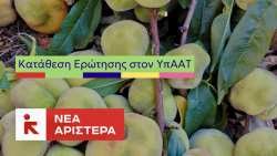 &Eta; &epsilon;&pi;&iota;&kappa;ί&nu;&delta;&upsilon;&nu;&eta; &epsilon;&xi;ά&pi;&lambda;&omega;&sigma;&eta; &alpha;&sigma;&theta;έ&nu;&epsilon;&iota;&alpha;&sigmaf; &sigma;&tau;&alpha; &rho;&omicron;&delta;ά&kappa;&iota;&nu;&alpha;, &sigma;&tau;&eta; &Beta;&omicron;&upsilon;&lambda;ή &alpha;&pi;ό &tau;&eta; &Nu;έ&alpha; &Alpha;&rho;&iota;&sigma;&tau;&epsilon;&rho;ά