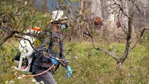 &Pi;ό&tau;&epsilon; &epsilon;&phi;&alpha;&rho;&mu;ό&zeta;&omicron;&nu;&tau;&alpha;&iota; &tau;&alpha; &lambda;ά&delta;&iota;&alpha; &kappa;&alpha;&iota; &sigma;&epsilon; &pi;&omicron;&iota;&epsilon;&sigmaf; &pi;&epsilon;&rho;&iota;&pi;&tau;ώ&sigma;&epsilon;&iota;&sigmaf; &alpha;&pi;&alpha;&gamma;&omicron;&rho;&epsilon;ύ&epsilon;&tau;&alpha;&iota; &eta; &chi;&rho;ή&sigma;&eta; &tau;&omicron;&upsilon;&sigmaf;