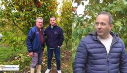 &Eta; &pi;&rho;&omicron;&sigma;&omicron;&delta;&omicron;&phi;ό&rho;&alpha; &kappa;&alpha;&lambda;&lambda;&iota;έ&rho;&gamma;&epsilon;&iota;&alpha; &mu;&epsilon; &epsilon;&lambda;ά&chi;&iota;&sigma;&tau;&epsilon;&sigmaf; &alpha;&pi;&alpha;&iota;&tau;ή&sigma;&epsilon;&iota;&sigmaf; - &Beta;ί&nu;&tau;&epsilon;&omicron;  &Eta;&Mu;&Alpha;&Theta;&Iota;&Omega;&Tau;&Iota;&Kappa;&Eta; &Gamma;&Eta;