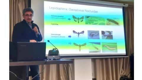&Xi;&epsilon;&kappa;ί&nu;&eta;&sigma;&alpha;&nu; &alpha;&pi;ό &tau;&eta;&nu; &Iota;&epsilon;&rho;ά&pi;&epsilon;&tau;&rho;&alpha; &omicron;&iota; &epsilon;&nu;&eta;&mu;&epsilon;&rho;&omega;&tau;&iota;&kappa;έ&sigmaf; &epsilon;&kappa;&delta;&eta;&lambda;ώ&sigma;&epsilon;&iota;&sigmaf; &gamma;&iota;&alpha; &tau;&eta;&nu; &pi;&rho;ώ&tau;&eta; &epsilon;&mu;&phi;ά&nu;&iota;&sigma;&eta; &tau;&omicron;&upsilon; &epsilon;&pi;&iota;&beta;&lambda;&alpha;&beta;&omicron;ύ&sigmaf; &omicron;&rho;&gamma;&alpha;&nu;&iota;&sigma;&mu;&omicron;ύ &kappa;&alpha;&rho;&alpha;&nu;&tau;ί&nu;&alpha;&sigmaf; Spodoptera frugiperda
