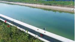 &Alpha;&nu;&tau;&iota;&pi;&lambda;&eta;&mu;&mu;&upsilon;&rho;&iota;&kappa;ά έ&rho;&gamma;&alpha; &sigma;&epsilon; &pi;&epsilon;&rho;&iota;&omicron;&chi;έ&sigmaf; &tau;&omicron;&upsilon; &Tau;&upsilon;&rho;&nu;ά&beta;&omicron;&upsilon; &alpha;&pi;ό &tau;&eta;&nu; &Pi;&epsilon;&rho;&iota;&phi;έ&rho;&epsilon;&iota;&alpha; &Theta;&epsilon;&sigma;&sigma;&alpha;&lambda;ί&alpha;&sigmaf;