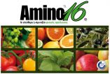 Amino16 &gamma;&iota;&alpha; &alpha;ύ&xi;&eta;&sigma;&eta; &tau;&eta;&sigmaf; &pi;&alpha;&rho;&alpha;&gamma;&omega;&gamma;ή&sigmaf; &kappa;&alpha;&iota; &kappa;&alpha;&lambda;ύ&tau;&epsilon;&rho;&eta; &kappa;&alpha;&rho;&pi;ό&delta;&epsilon;&sigma;&eta; &sigma;&epsilon; &rho;&omicron;&delta;ά&kappa;&iota;&nu;&alpha;,&nu;&epsilon;&kappa;&tau;&alpha;&rho;ί&nu;&iota;&alpha; &kappa;&alpha;&iota; &epsilon;&lambda;&iota;ά