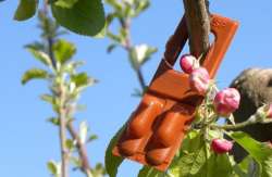 &Kappa;&omicron;&mu;&phi;&omicron;ύ&zeta;&iota;&omicron;: &Alpha;&nu;&omicron;&iota;&chi;&tau;ή έ&omega;&sigmaf; &tau;&iota;&sigmaf; 7 &Omicron;&kappa;&tau;&omega;&mu;&beta;&rho;ί&omicron;&upsilon; &eta; &epsilon;&phi;&alpha;&rho;&mu;&omicron;&gamma;ή &gamma;&iota;&alpha; &tau;&eta;&nu; &upsilon;&pi;&omicron;&beta;&omicron;&lambda;ή &pi;&alpha;&rho;&alpha;&sigma;&tau;&alpha;&tau;&iota;&kappa;ώ&nu; &sigma;&upsilon;&mu;&mu;ό&rho;&phi;&omega;&sigma;&eta;&sigmaf; &epsilon;&iota;&delta;&iota;&kappa;ώ&nu; &delta;&iota;&alpha;&tau;ά&xi;&epsilon;&omega;&nu; 2&eta;&sigmaf; &kappa;&alpha;&iota; 3&eta;&sigmaf;  &pi;&rho;ό&sigma;&kappa;&lambda;&eta;&sigma;&eta;&sigmaf;