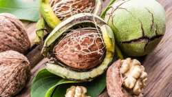 &Gamma;&epsilon;&omega;&rho;&gamma;&iota;&kappa;έ&sigmaf; &pi;&rho;&omicron;&epsilon;&iota;&delta;&omicron;&pi;&omicron;&iota;ή&sigma;&epsilon;&iota;&sigmaf; &gamma;&iota;&alpha; &tau;&eta;&nu; &kappa;&alpha;&rho;&upsilon;&delta;&iota;ά