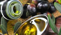 OLIVAENEWS.COM: &Eta; &epsilon;&lambda;&alpha;&iota;&omicron;&kappa;&omicron;&mu;&iota;&kappa;ή &mu;&epsilon;&sigma;ό&gamma;&epsilon;&iota;&omicron;&sigmaf; ά&nu;&omicron;&iota;&xi;&epsilon; έ&nu;&alpha; &pi;&alpha;&rho;ά&theta;&upsilon;&rho;&omicron; &epsilon;&nu;&eta;&mu;έ&rho;&omega;&sigma;&eta;&sigmaf; &sigma;&tau;&omicron;&nu; &kappa;ό&sigma;&mu;&omicron;