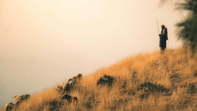 &Phi;&upsilon;&lambda;ά&kappa;&iota;&sigma;&eta; 6 &mu;&eta;&nu;ώ&nu; &sigma;&epsilon; 57&chi;&rho;&omicron;&nu;&omicron; &pi;&omicron;&upsilon; &beta;&omicron;&sigma;&kappa;&omicron;ύ&sigma;&epsilon; &alpha;&iota;&gamma;&omicron;&pi;&rho;ό&beta;&alpha;&tau;&alpha; &chi;&omega;&rho;ί&sigmaf; &epsilon;&nu;ώ&tau;&iota;&alpha; &kappa;&alpha;&iota; &epsilon;&mu;&beta;&omicron;&lambda;&iota;&alpha;&sigma;&mu;ό